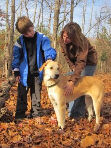 Johnny—from crippling shyness to king of the road Image